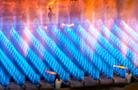 Newbigging gas fired boilers
